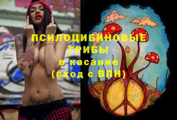 гашиш Каменногорск