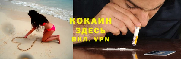 Альфа ПВП Каменка