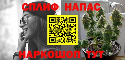 ГАЛЛЮЦИНОГЕННЫЕ ГРИБЫ Кунгур