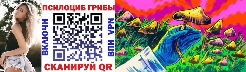 Псилоцибиновые грибы мицелий  Реутов 