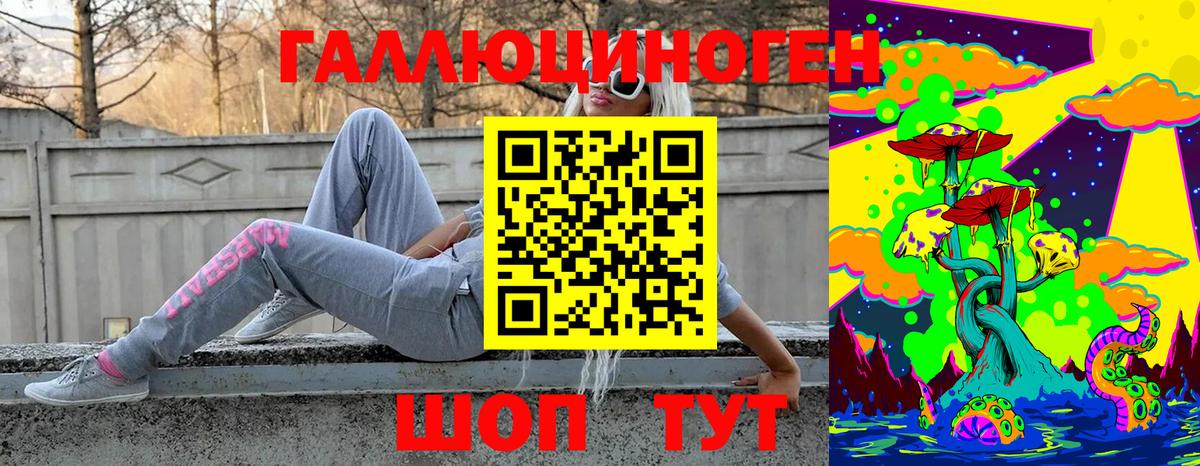Псилоцибиновые грибы Cubensis  Псилоцибиновые грибы Cubensis  Реутов  Вход с VPN 